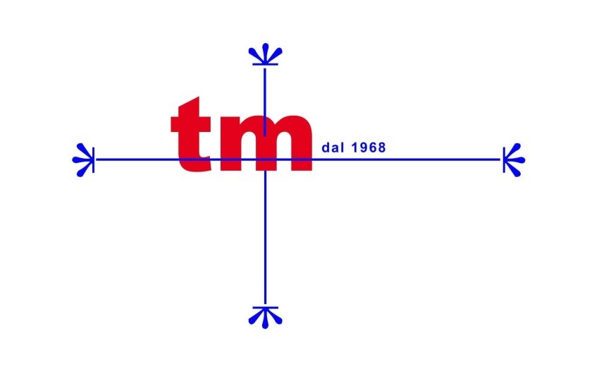 Logo TINTORIA MANCINI S.R.L.