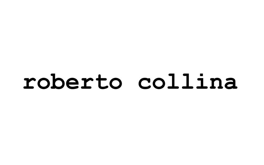 Logo roberto collina s.r.l