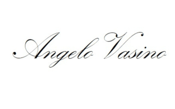 Logo Vasino - Slow Fiber